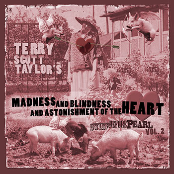 Terry Scott Taylor ~ Madness and Blindness and Astonishment of the Heart